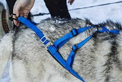 Adjustable Sled Pro Dog Harness - Small, Yellow
